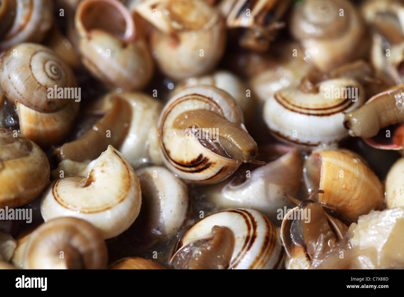 Snails (Caracois) are served for lunch at a Portuguese restaurant. Stock Photo