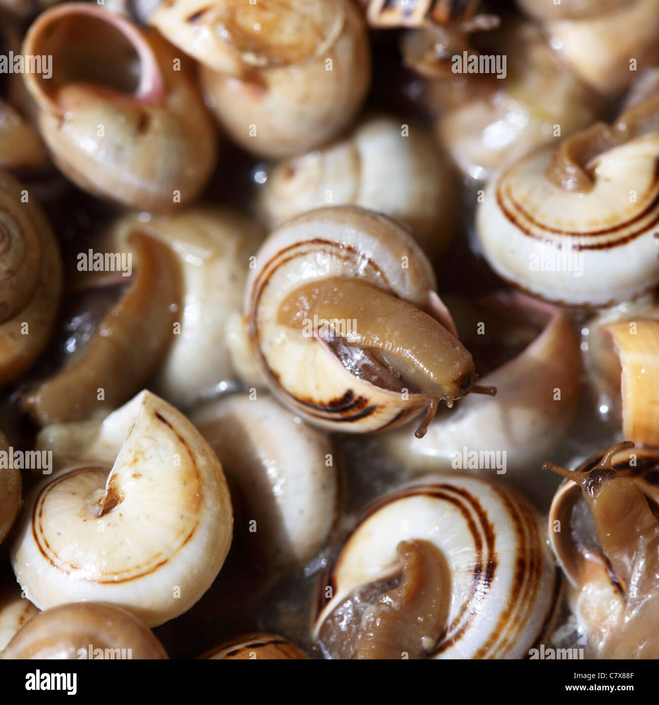 Snails (Caracois) are served for lunch at a Portuguese restaurant. Stock Photo