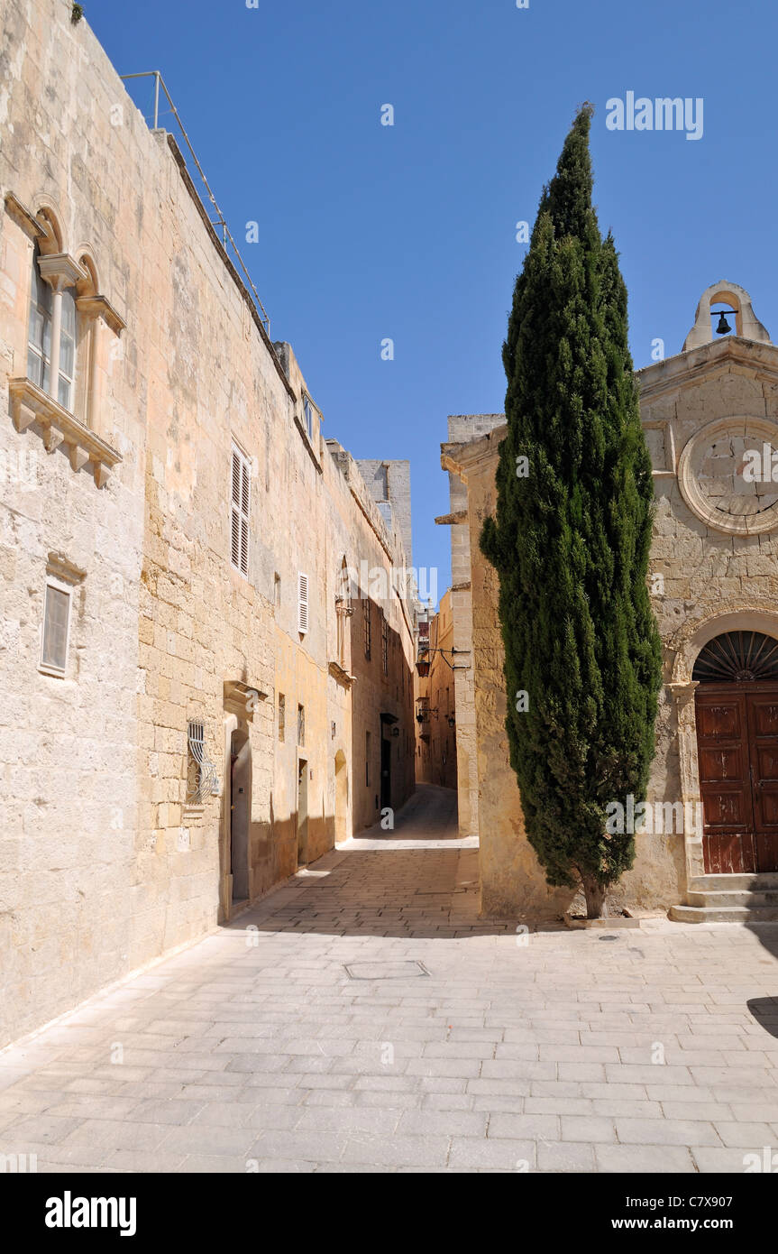 Narrow Street with little Chapel and Cypress Tree in Mdina, Malta. Stock Photo