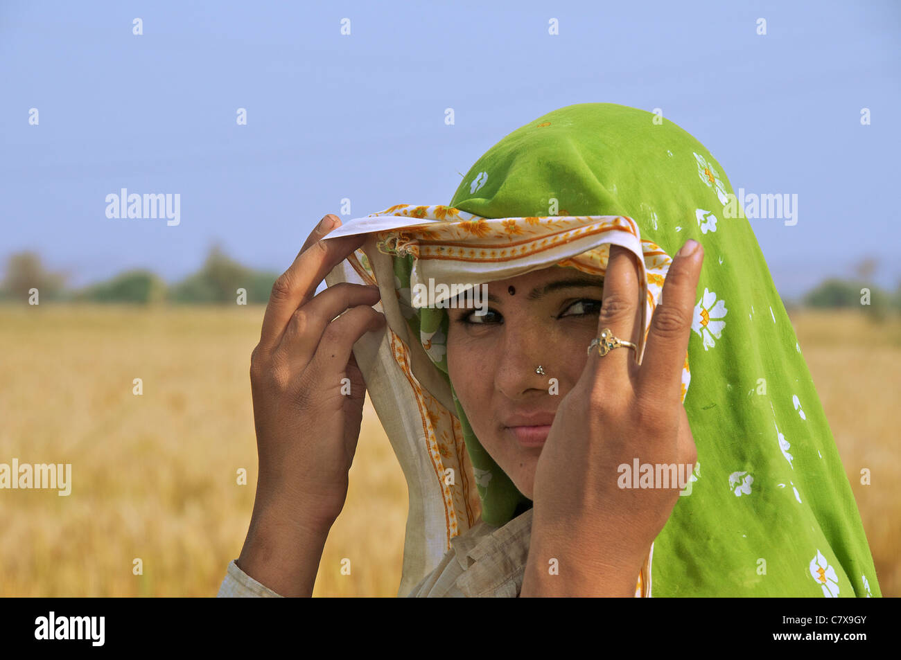 Indian woman in colorful sari hi-res stock photography and images - Alamy