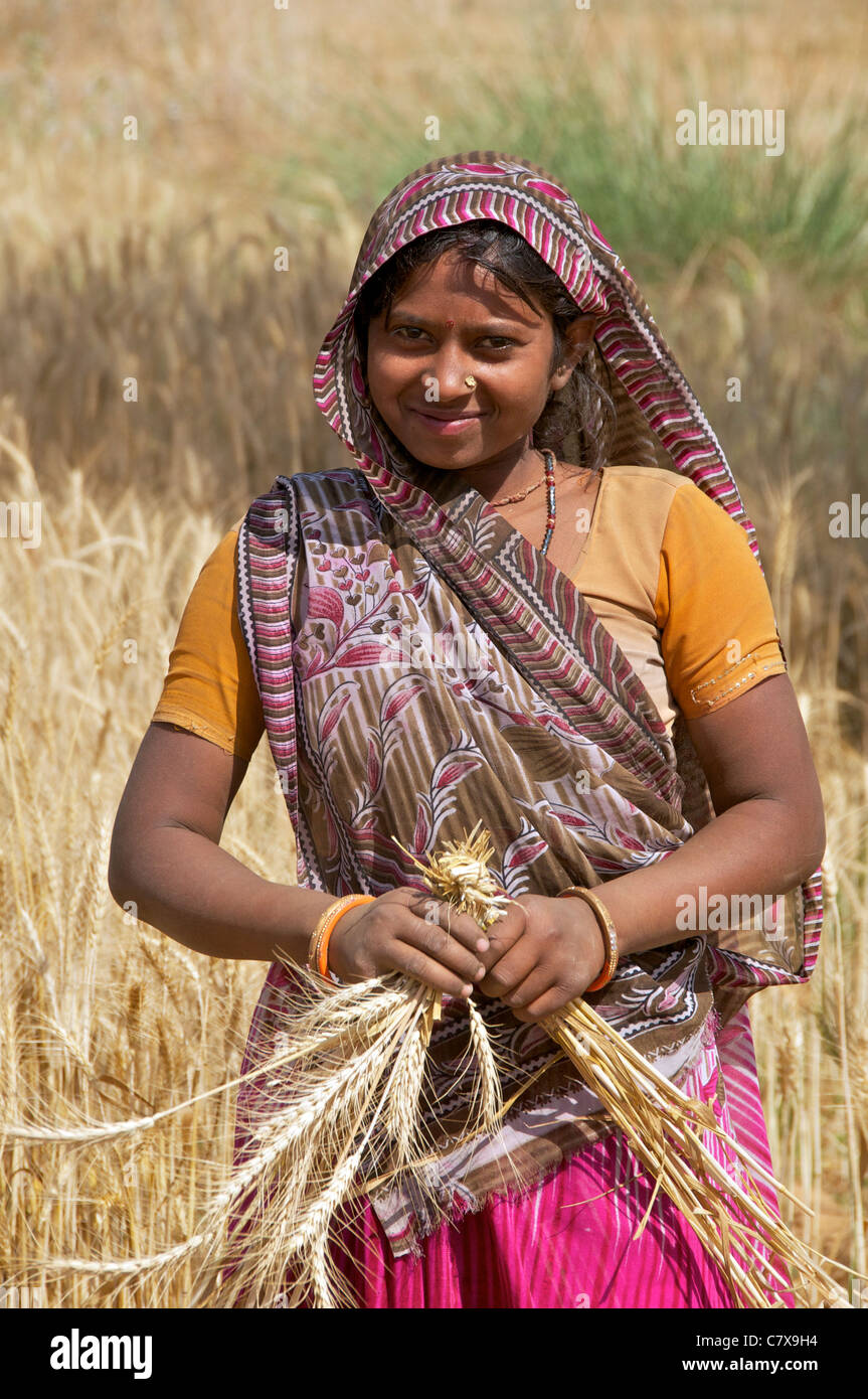 Pretty girl holding wheatsheaf Karauli Rajasthan India Stock Photo