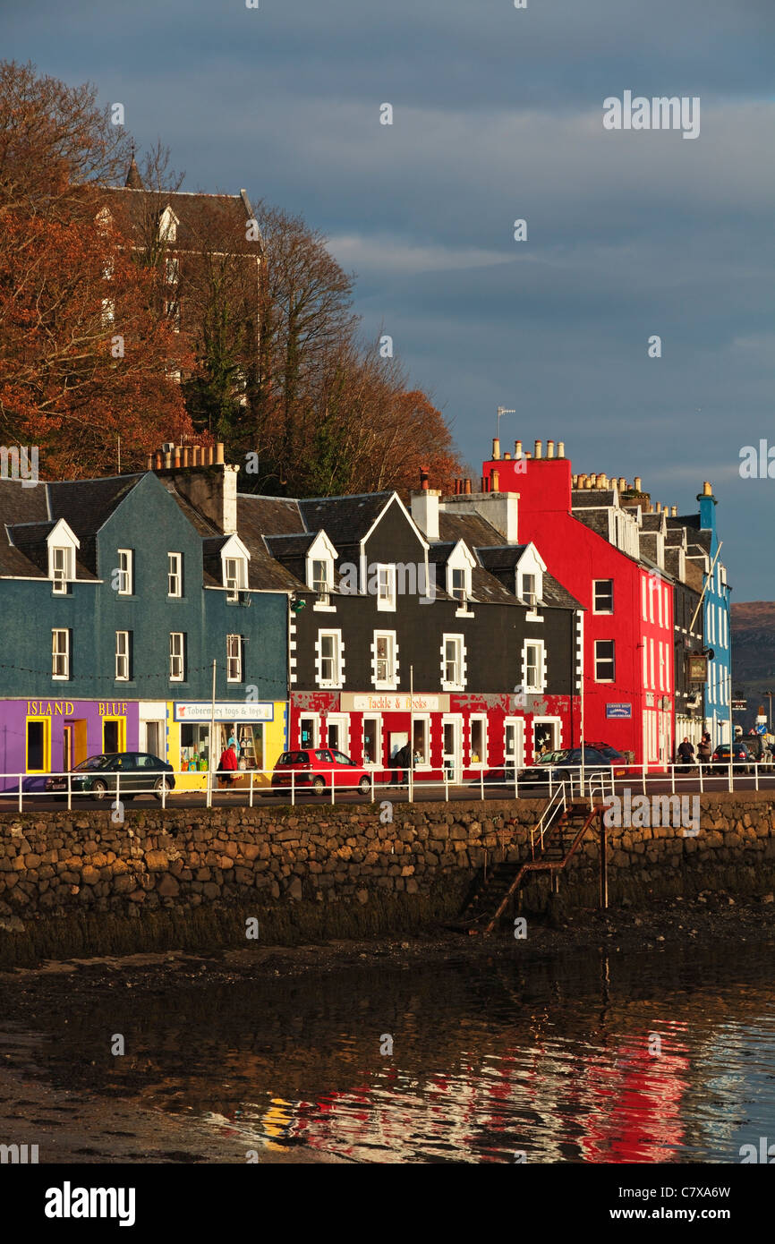 Colourful houses along Tobermory quayside reflecting in the still