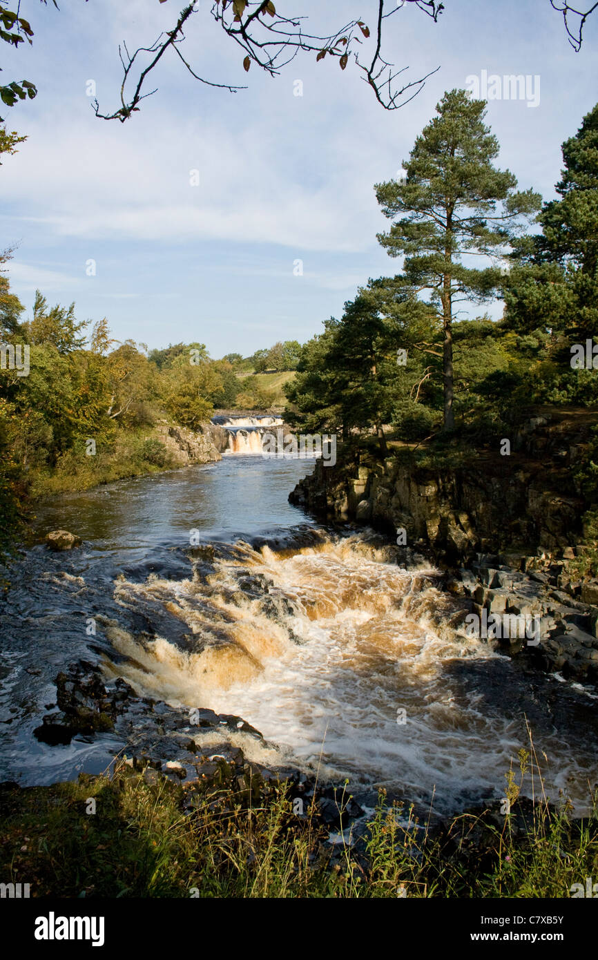 Low Force, Teesdale, County Durham Stock Photo