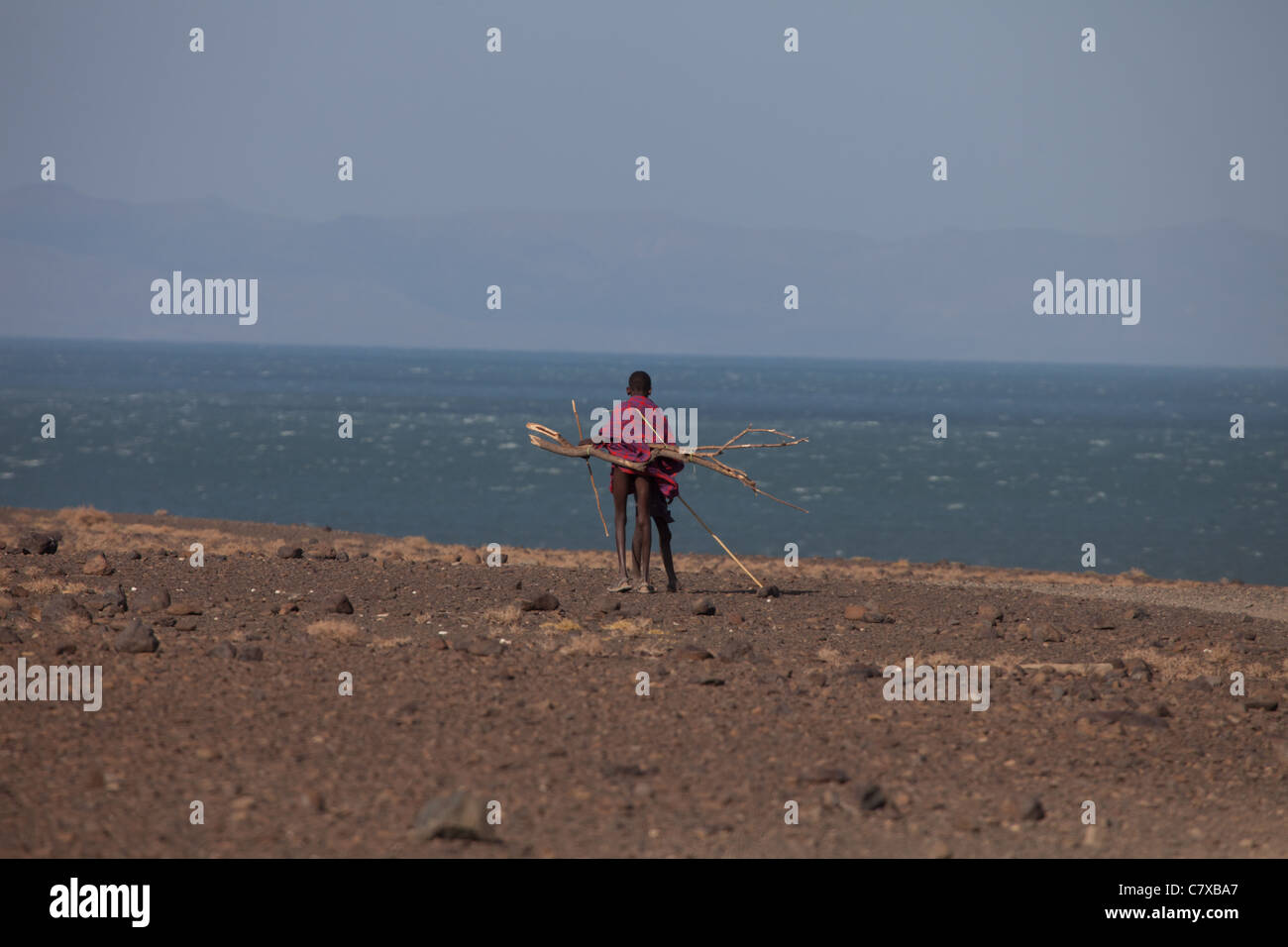 Masai boy returning home with bundle of wood on shores of Lake Turkana, Loiyangalani, Kenya, Africa Stock Photo