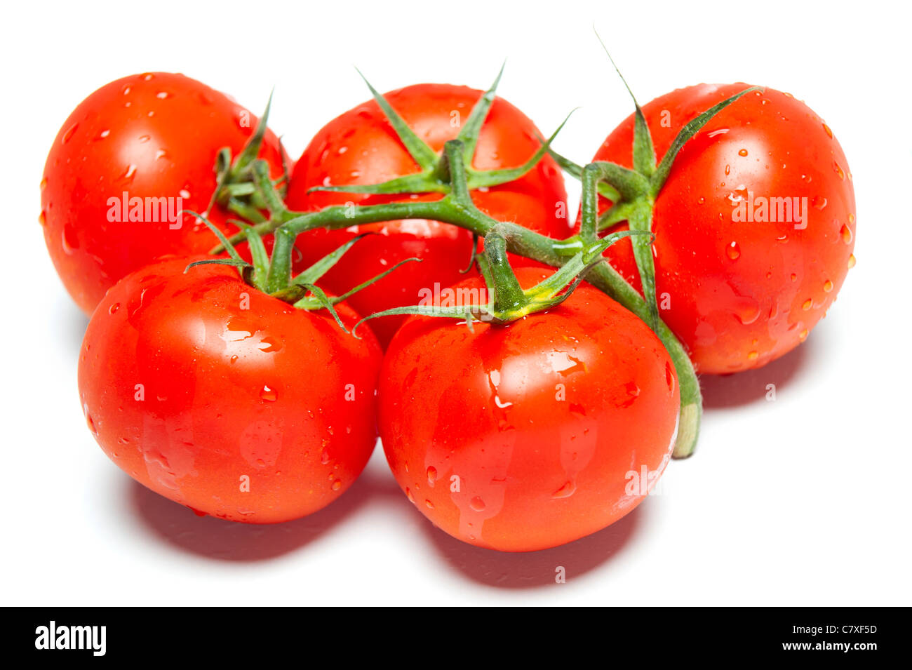 Ripe red tomatoes on isolated white studio background Stock Photo
