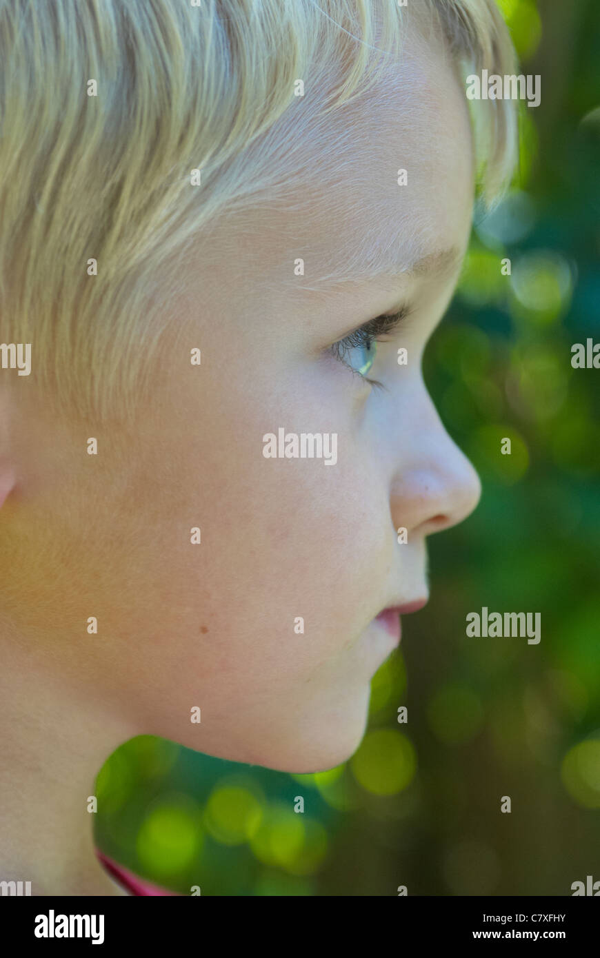 Profile portrait blond child boy hi-res stock photography and images ...