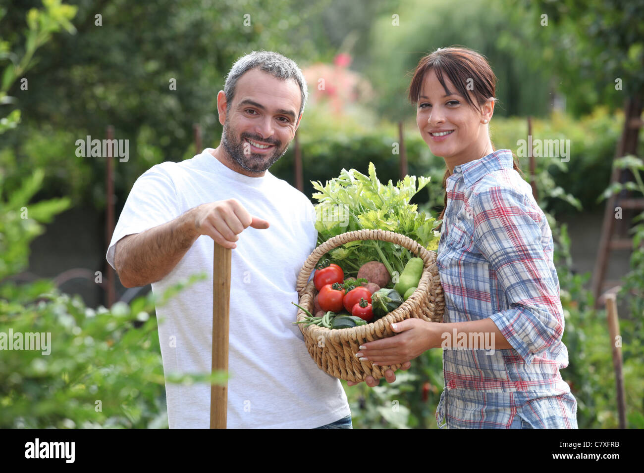 Couple picking vegetables Stock Photo - Alamy