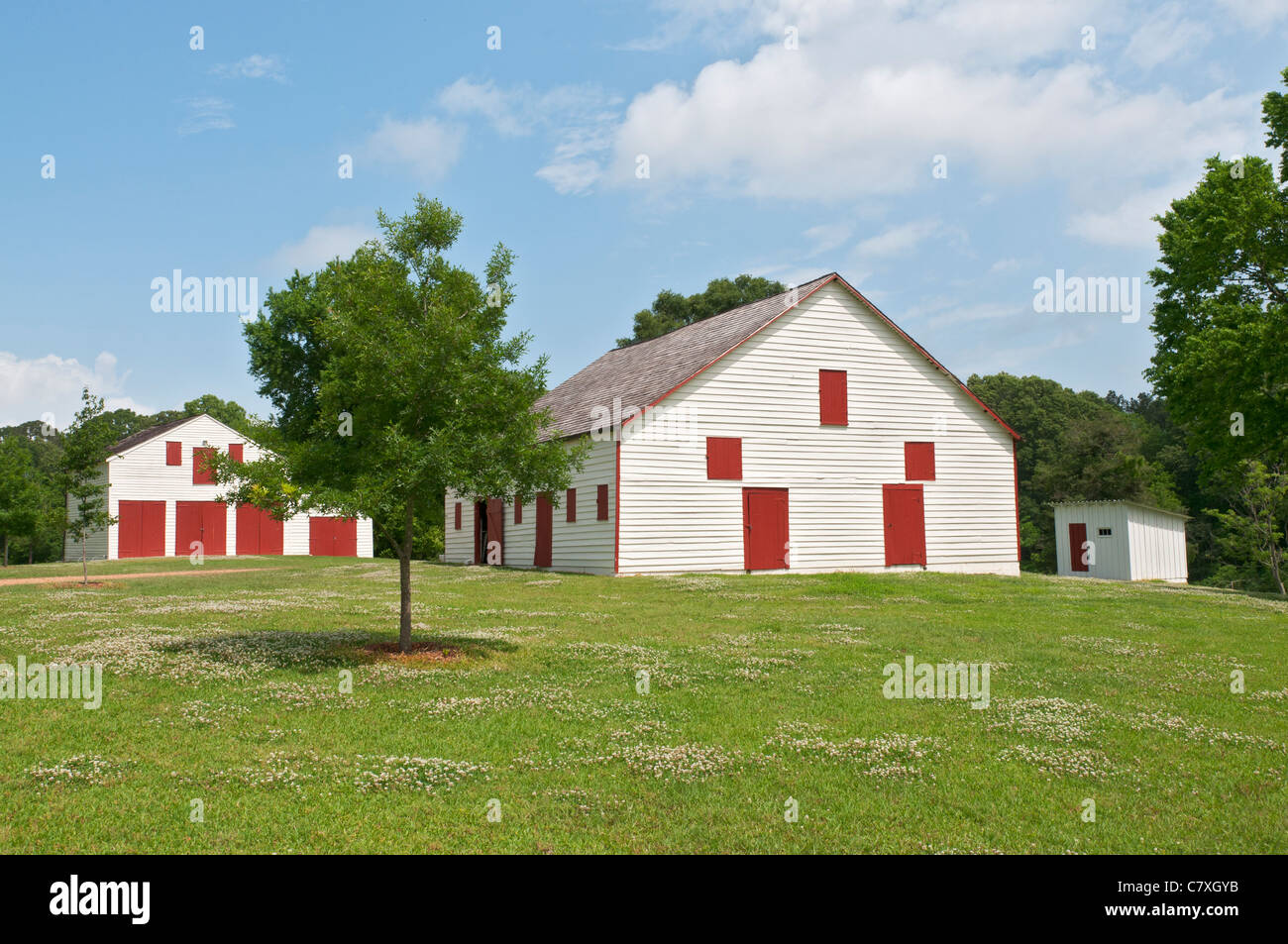 white barns with red doors near Natchez, Mississippi Stock Photo