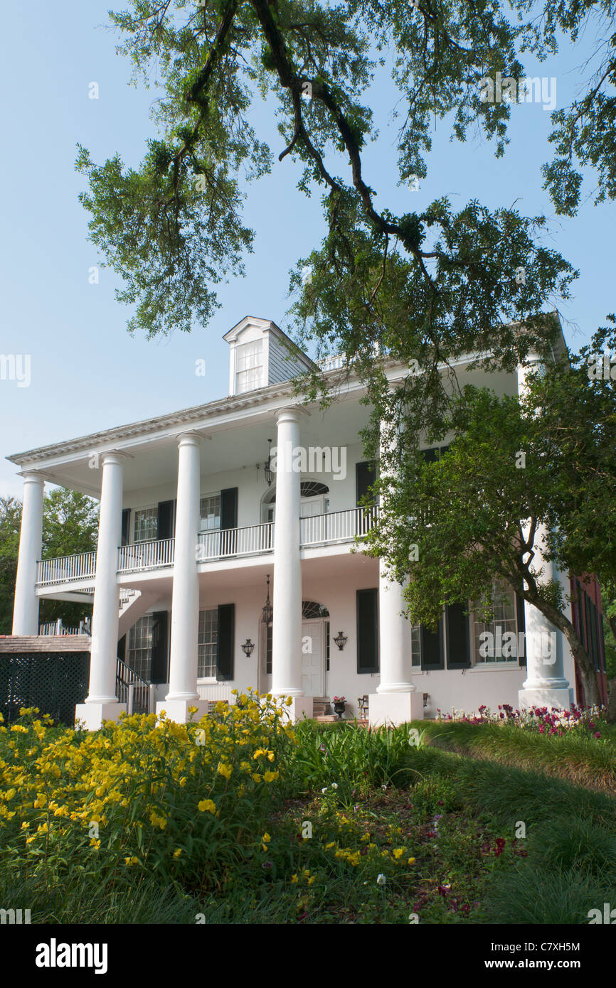 Rosalie antebellum mansion natchez mississippi hires stock photography