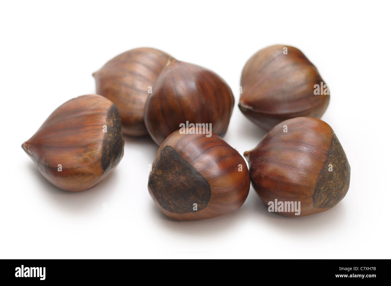 Chestnuts, Castanea Stock Photo