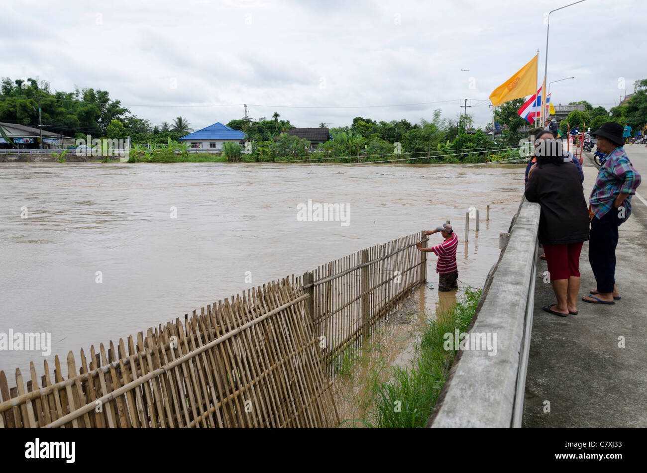 Man removes fencing in yard next to bridge flooded by rising Ping River south of Chiang Mai Thailand while spectators watch Stock Photo