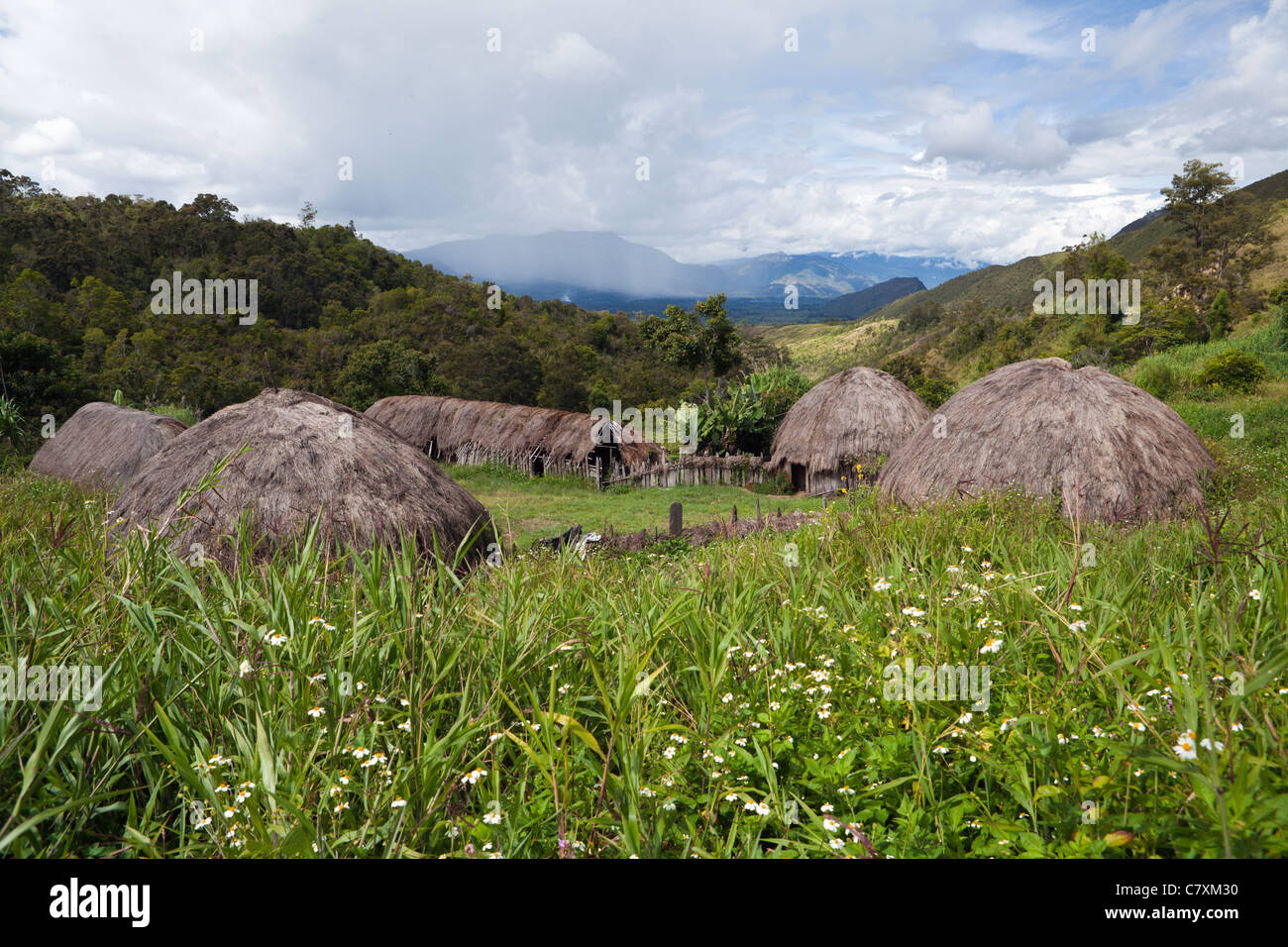 Traditional Dani Village at Baliem Valley, West Papua, Indonesia Stock Photo