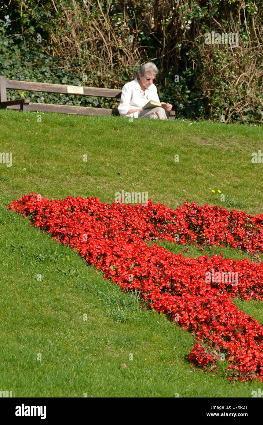 Elderly lady sitting on park bench in front of Plymouth flower bed Stock Photo