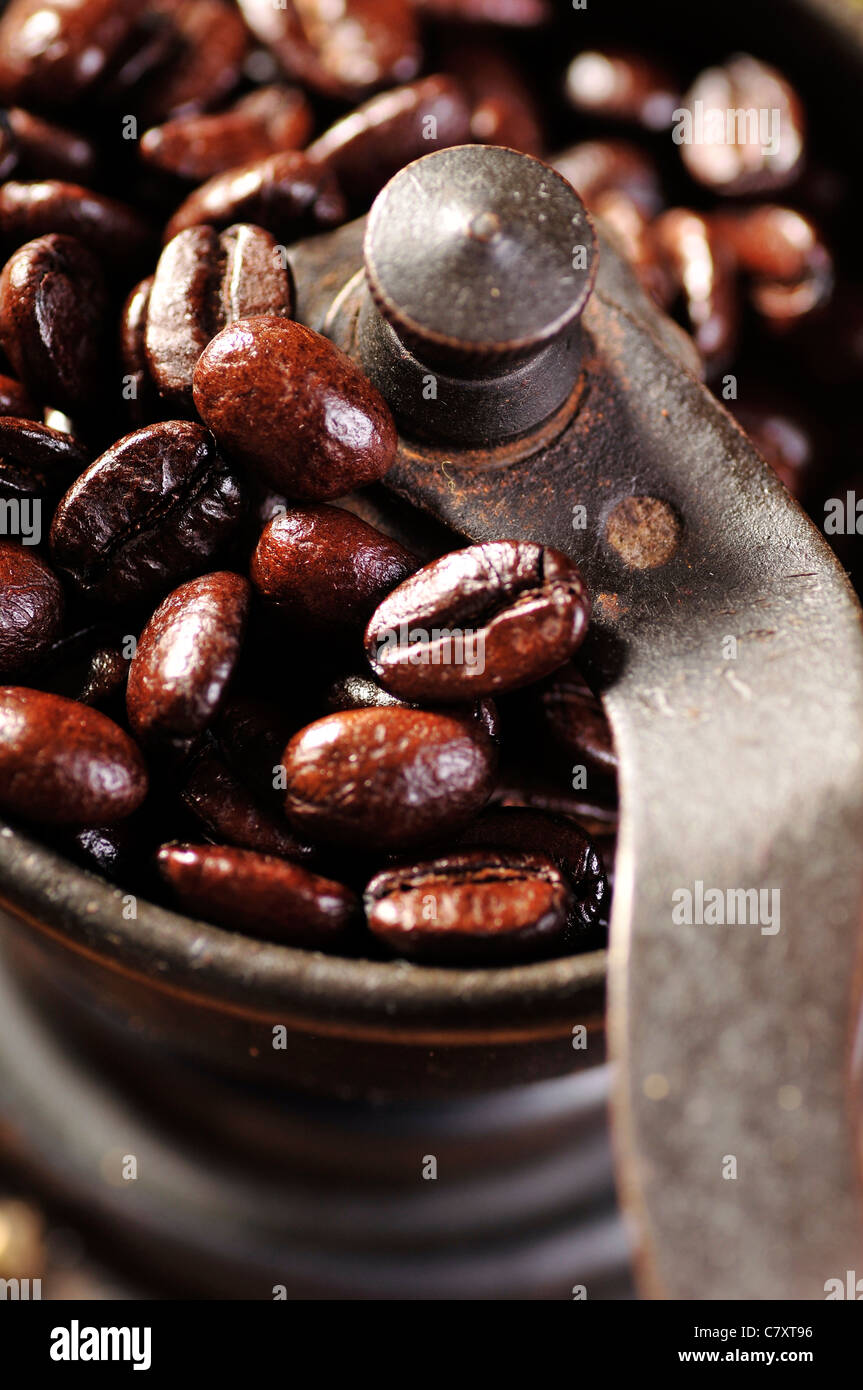 coffee grinder and beans Stock Photo Alamy