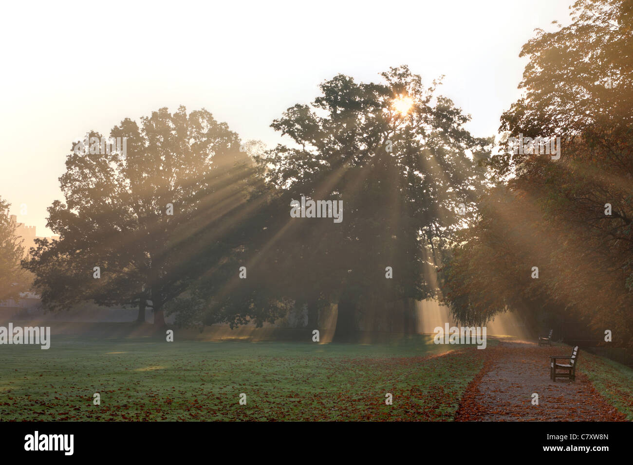 Sunburst through the trees, St Johns College Cambridge, Autumn England, UK Stock Photo