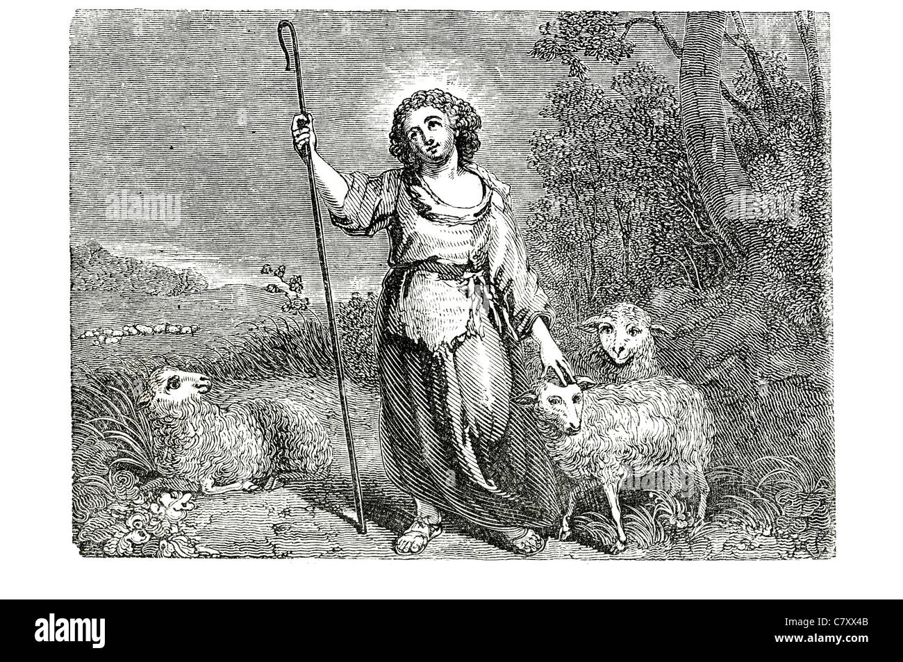 Good Shepherd Jesus sheep lamb spring halo Stock Photo