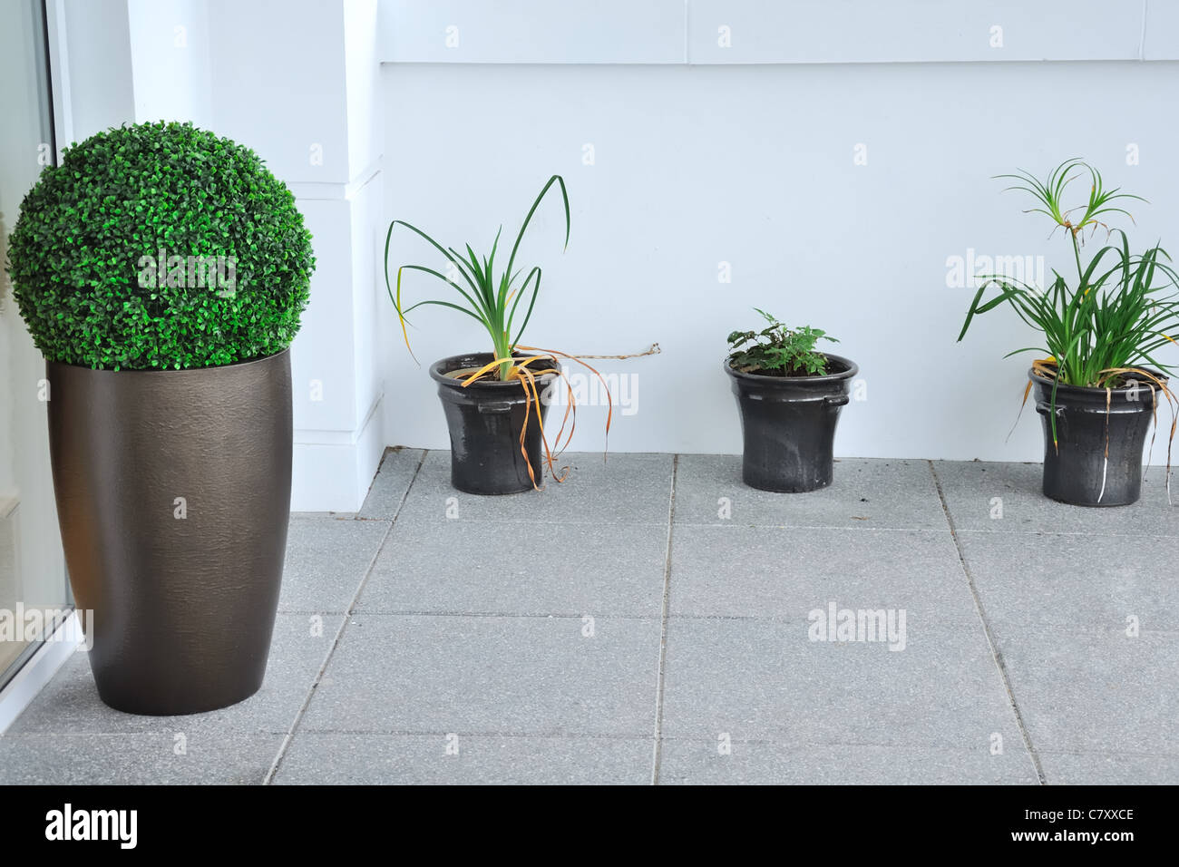 Foliage plants at entrance to hotel. Stock Photo