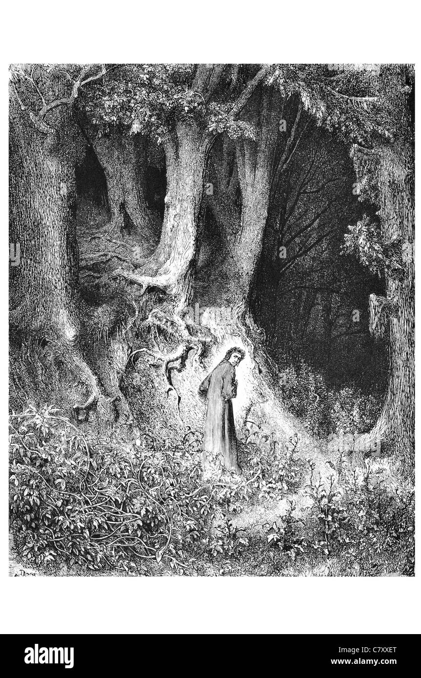 In a Gloomy wood The Vision of Hell Dante Alighieri Gustave Doré suffering punishment afterlife Religion divine incarnation Heav Stock Photo