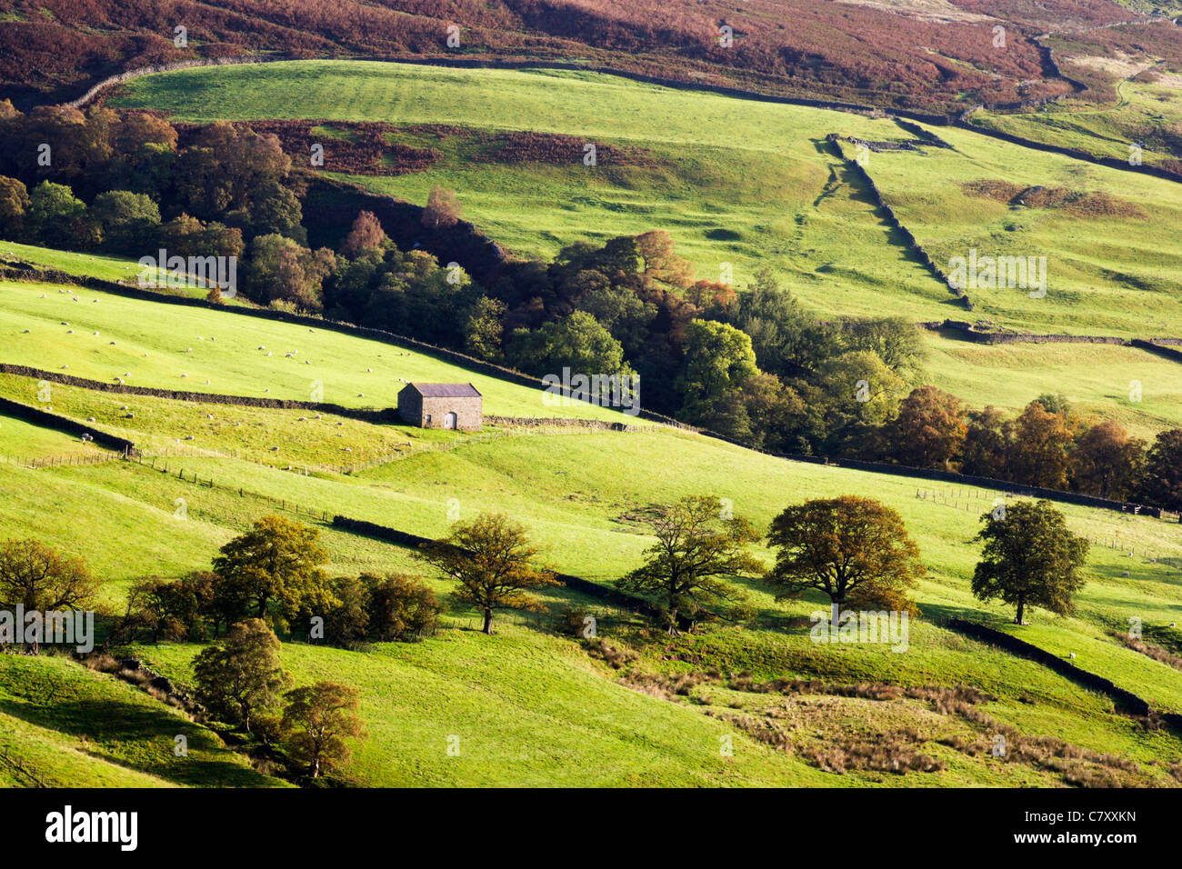 Early Morning Light in Upper Nidderdale Yorkshire England Stock Photo