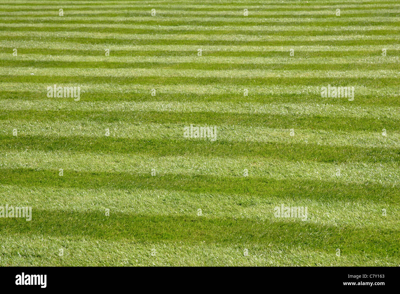 Lawn Stripes Hi res Stock Photography And Images Alamy lawn-stripes-hi-res-stock-photography-and-images-alamy
