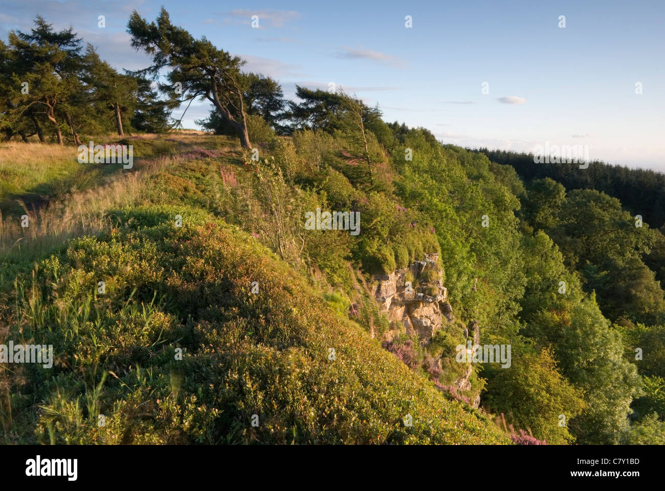 Hambleton Escarpment above Boltby, UK Stock Photo Alamy