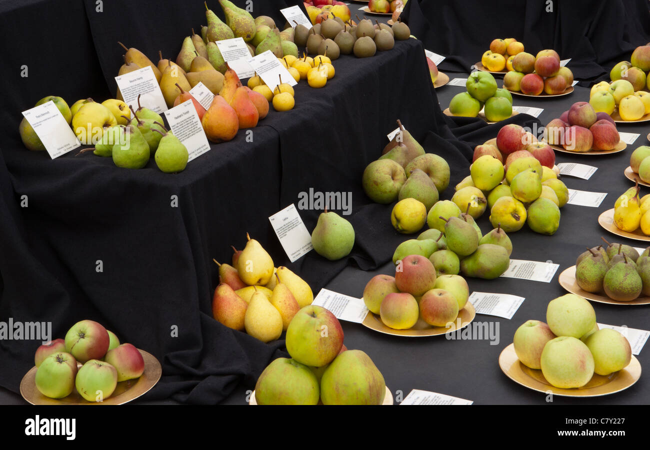 Heritage British Apple and Pear display at Malvern autumn show 2011 Stock Photo