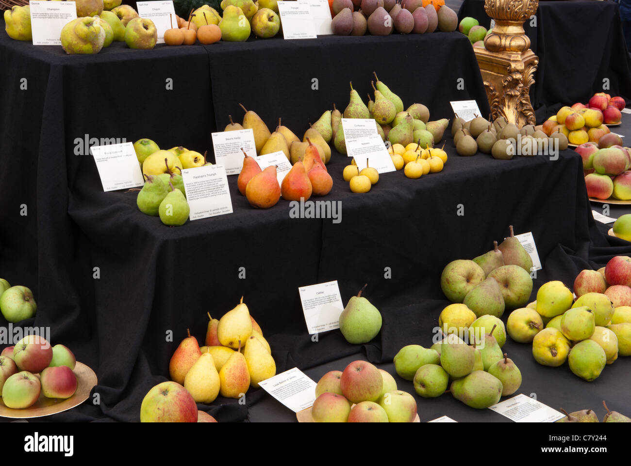 Heritage British Apple and Pear display at Malvern autumn show 2011 Stock Photo