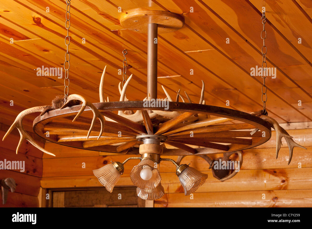 Antler Chandelier with light fixture hanging from the wooden ceiling of a log cabin Stock Photo