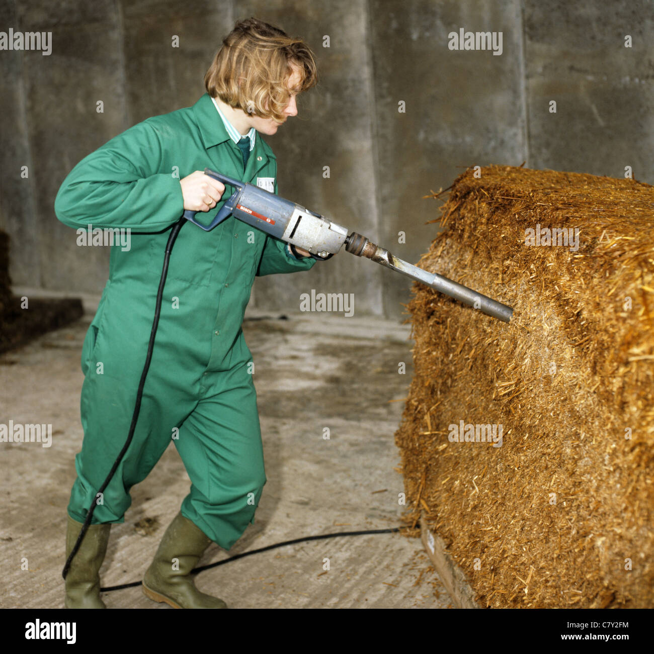 Woman researcher taking a core sample from a whole wheat crop silage block for testing Stock Photo