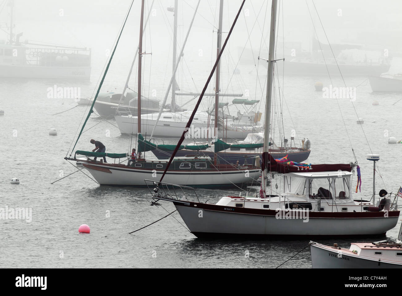 Sailboats moored in fog, Northeast Harbor, Maine Stock Photo