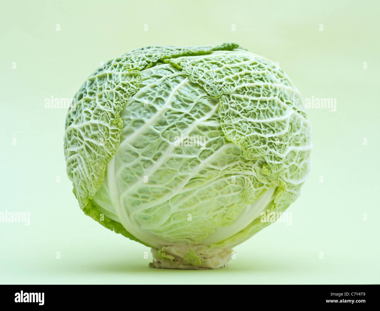 Kale on green Stock Photo