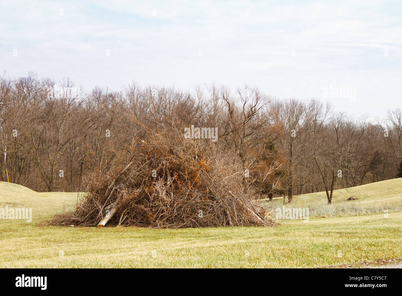 Large pile of brush for bonfire Stock Photo Alamy
