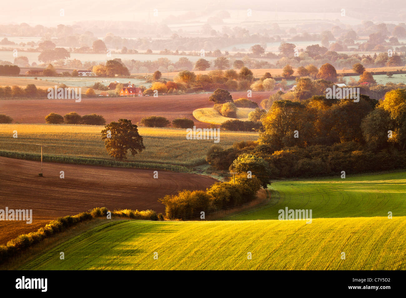 An early autumn sunrise view from Martinsell Hill over the Vale of Pewsey in Wiltshire, England, UK Stock Photo