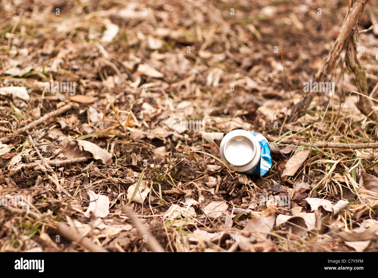 Beer or soda pop can litter in woods Stock Photo