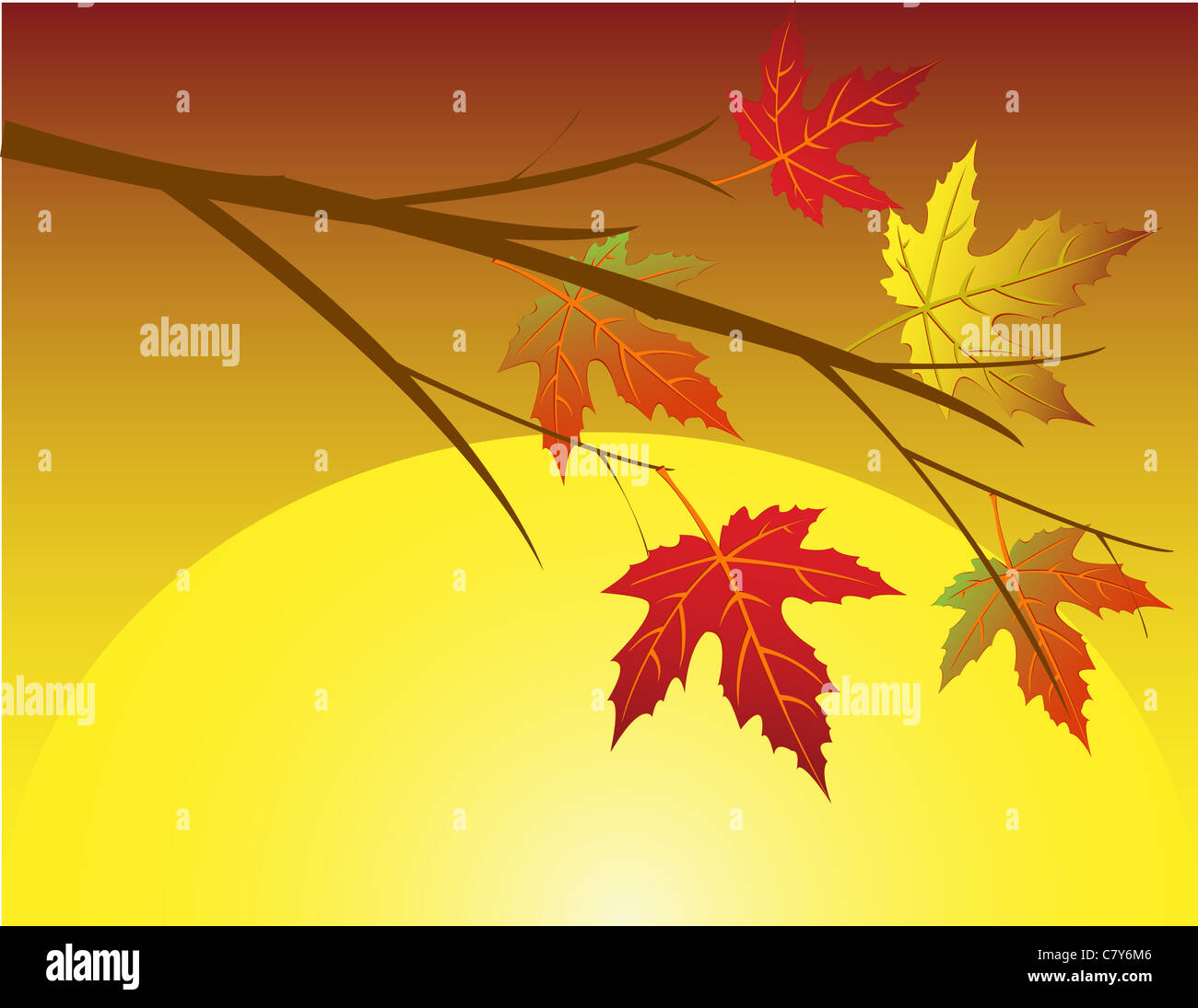 Autumn leaf background Stock Photo - Alamy