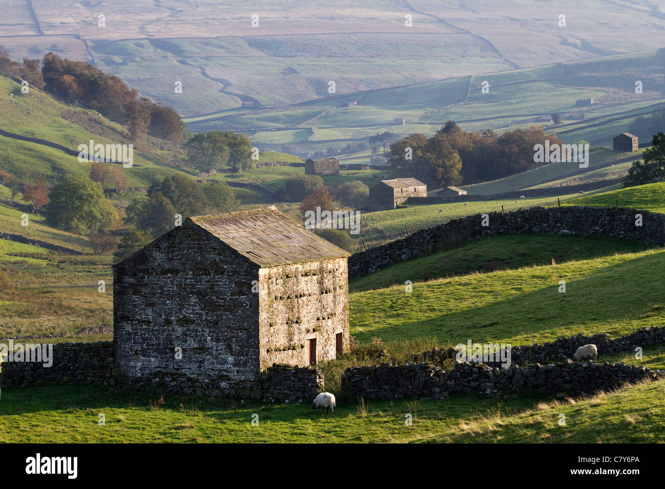 Barns in the Landscape and Countryside of Muker, Swaledale in the North Yorkshire Dales National Park, Richmondshire, UK Stock Photo