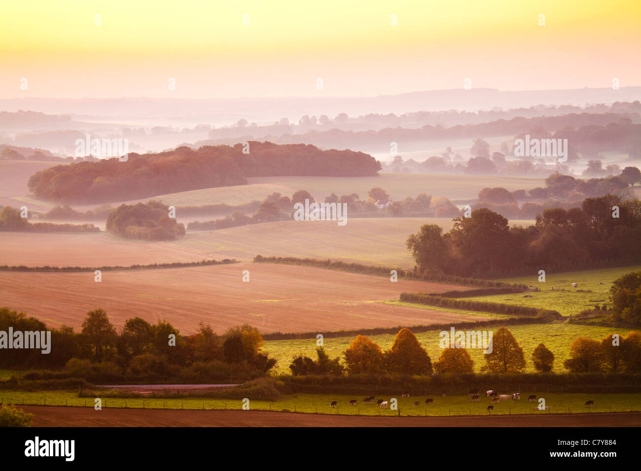An early autumn sunrise view from Martinsell Hill over the Vale of Pewsey in Wiltshire, England, UK Stock Photo
