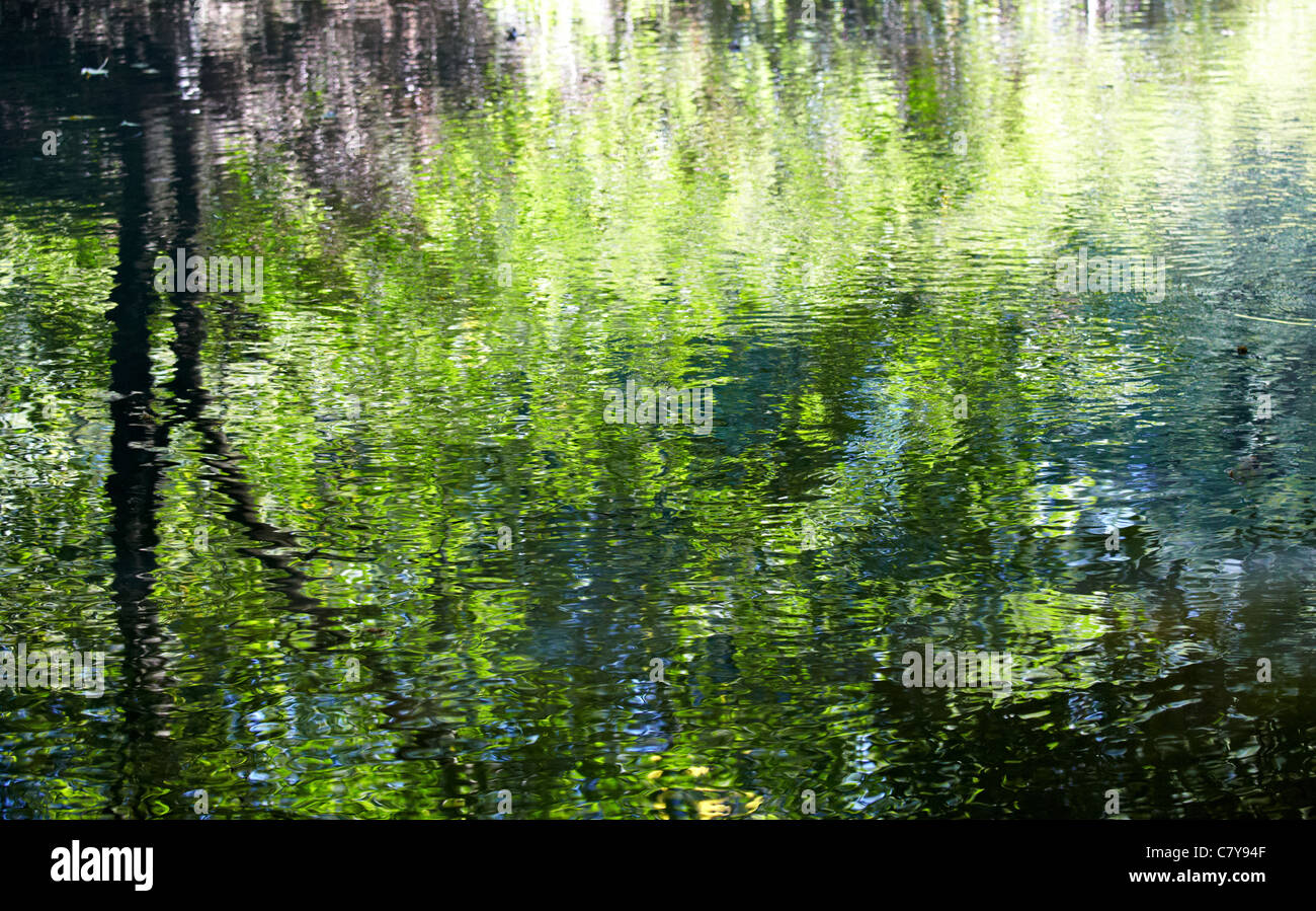 Water Reflections River Mole Boxhill Surrey UK Stock Photo