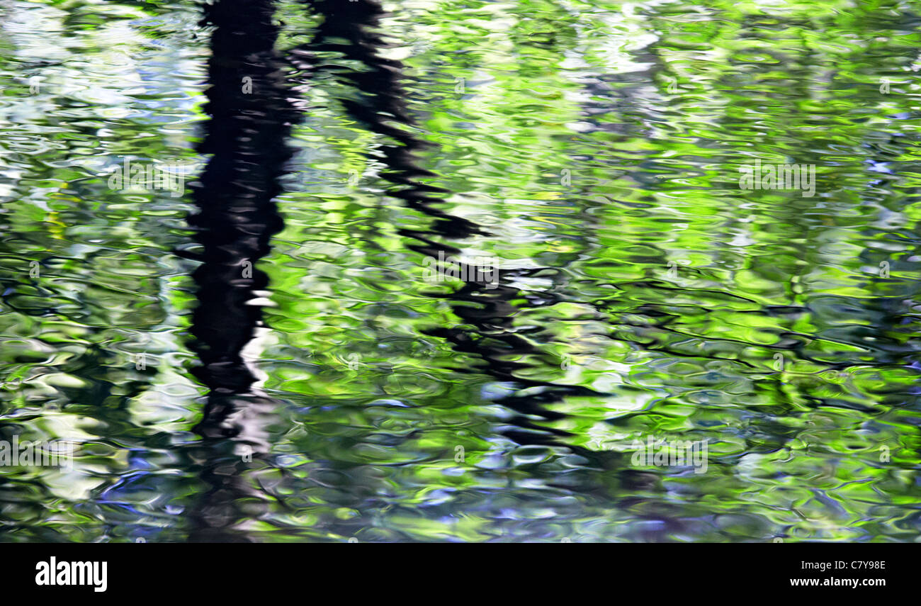 Water Reflections River Mole Boxhill Surrey UK Stock Photo