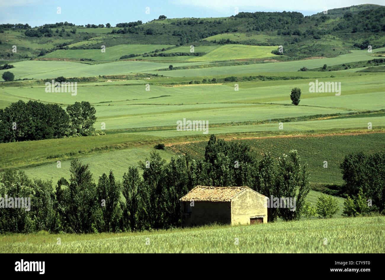 Spain, Galicia, Camino de Santiago, Najera countryside Stock Photo