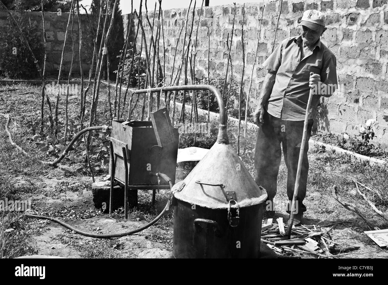 An old man making vodka in the garden Stock Photo