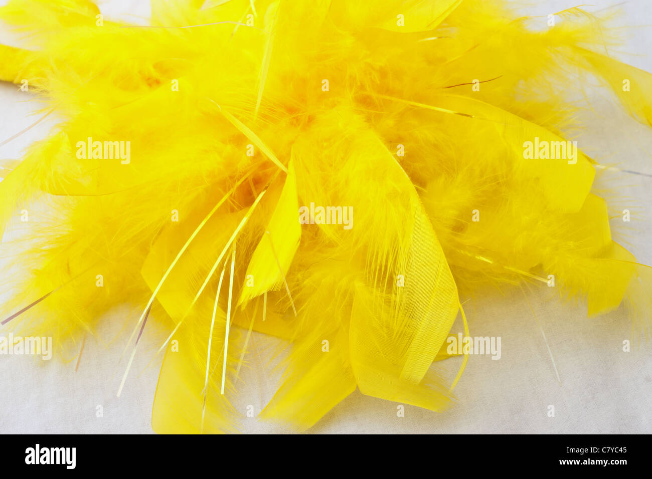 Yellow feathers in a bunch against a white background Stock Photo - Alamy