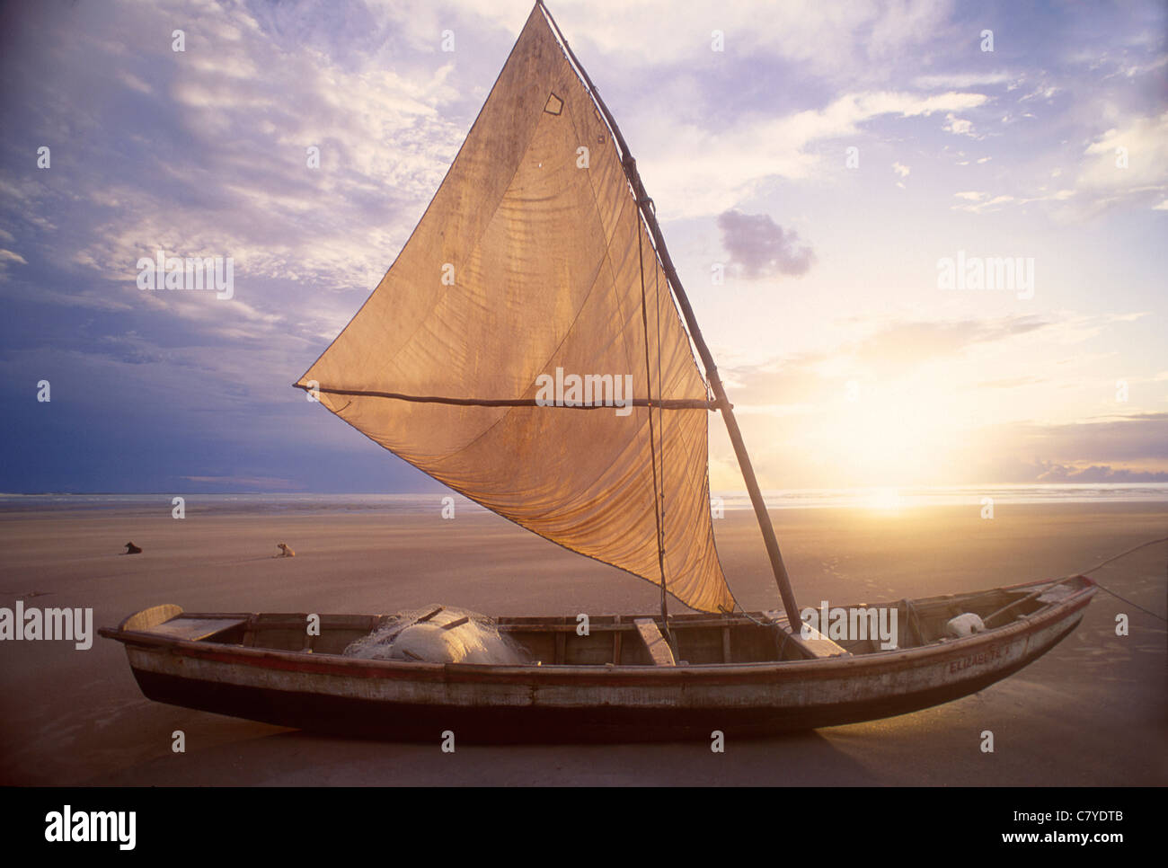 Saling Raft seaworth sailing raft used by fishermen of northeastern Brazil. City ...