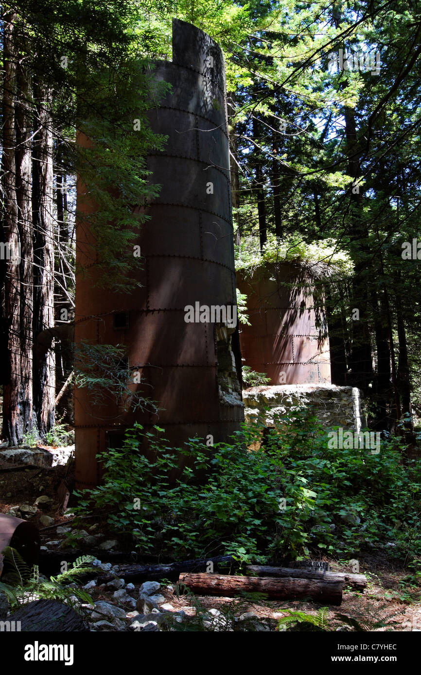 The 19th century lime kilns still stand in redwood forest of Lime Kiln State Park. Stock Photo