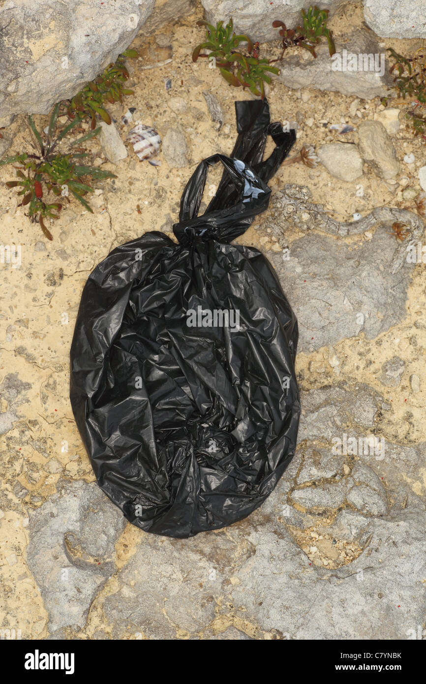Dog waste bag, left on rocks, Portland bill Dorset July Stock Photo