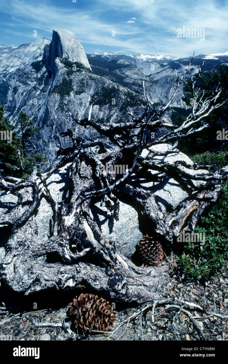 Images yosemite national park hi-res stock photography and images - Alamy