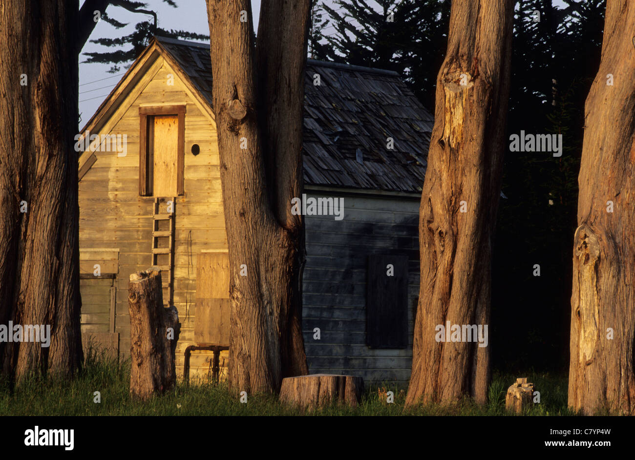 USA, California, Mendocino, log cabin in the woods Stock Photo Alamy