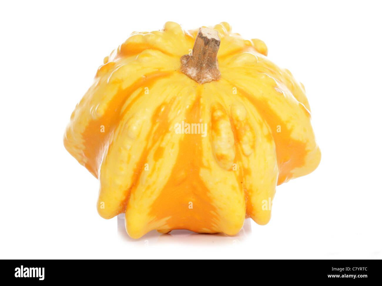 Flying saucer squash on white background Stock Photo Alamy