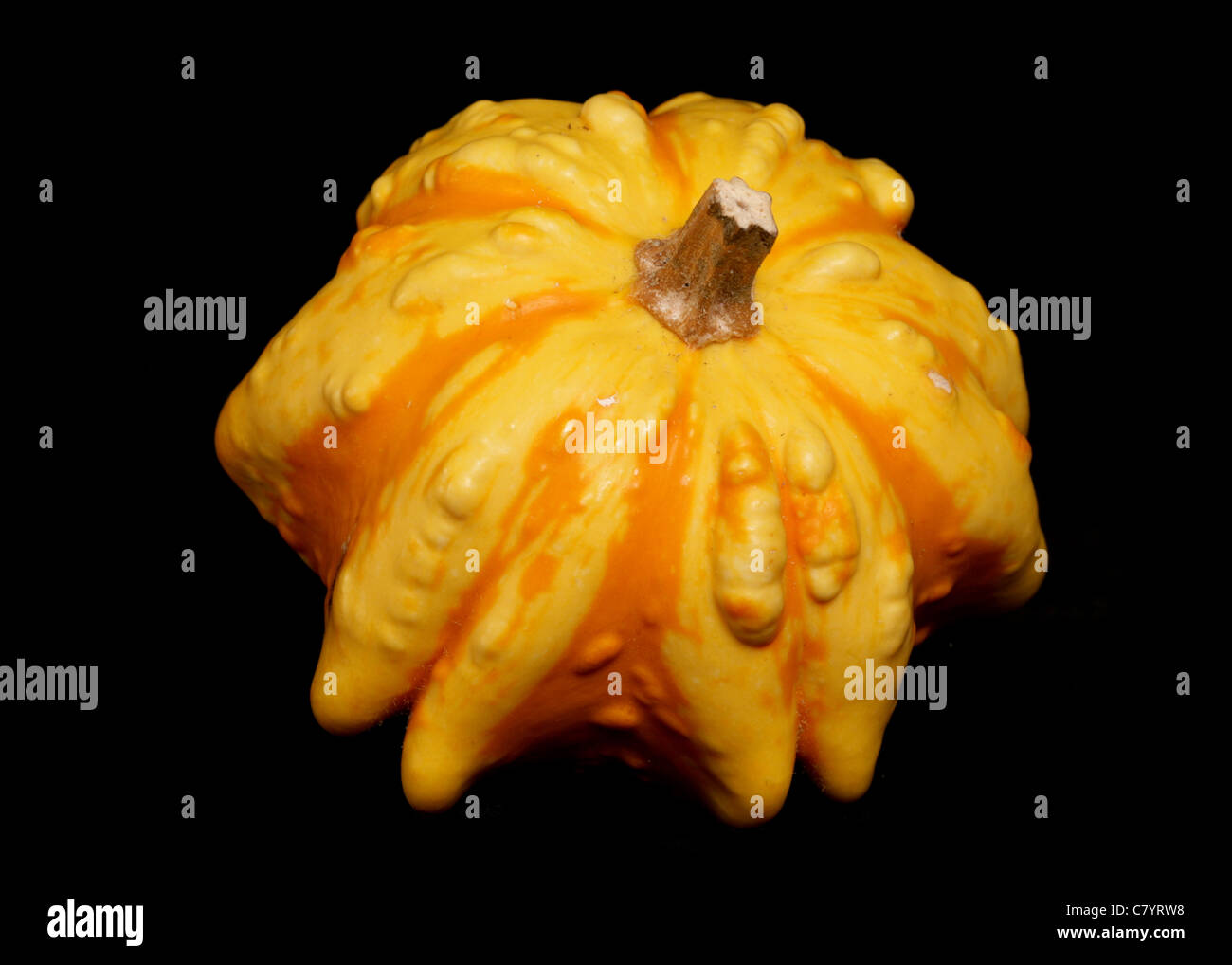 Flying saucer squash on black background Stock Photo Alamy