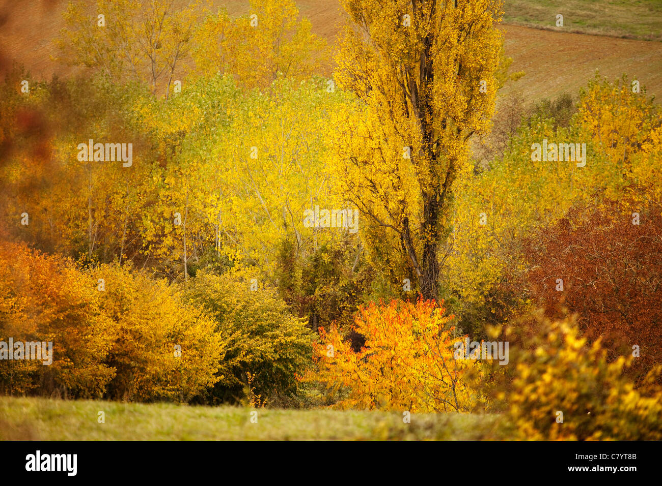 Hoja de paisajes hi-res stock photography and images - Alamy
